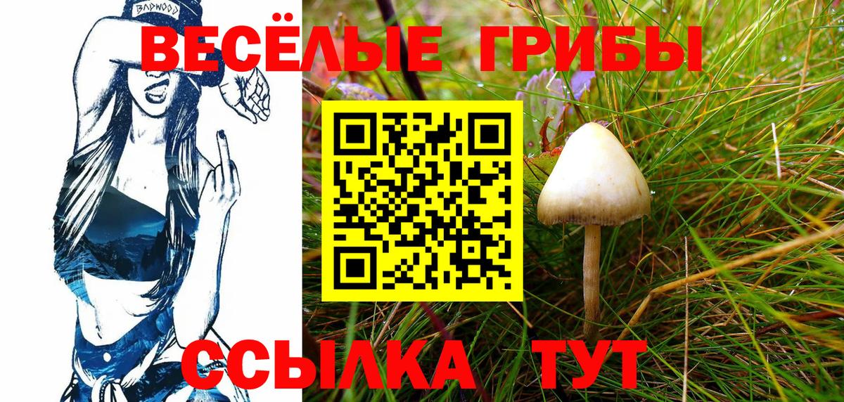 Орехово-Зуево  Галлюциногенные грибы Magic Shrooms  Вход с VPN 